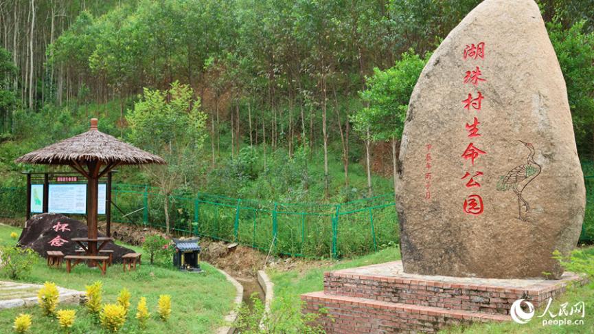 长泰区岩溪镇湖珠村村生命公园。人民网 李昌乾摄